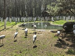-艾溪湖湿地公园