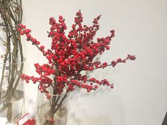 -花未央花店·WEYOUNG