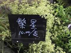 -Butchart布查德鲜花(花艺设计中心)