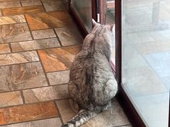 -隅cafe(傅厚岗店)