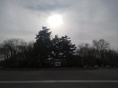 -大兴滨河森林公园