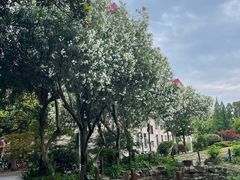 -上海财经大学(国定路校区)