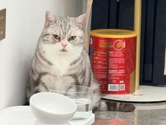 -真打拉面·日式拉面新流派(体育西横街店)