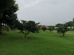 -青龙山国家森林公园
