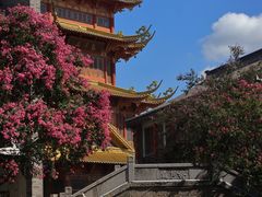 -龙潭水乡