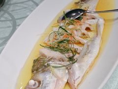 -金枝玉叶上海人家食府(三里河店)