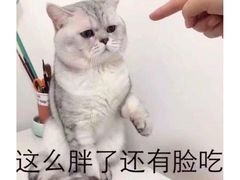 -1点点(晒布店)