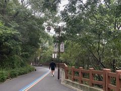 -杭州半山国家森林公园