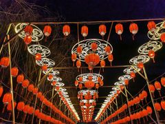 -青龙湖公园