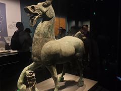 -广西壮族自治区博物馆