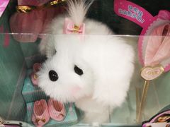 -TOYSRUS玩具反斗城(郑州熙地港店)