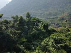 -呀诺达热带雨林