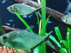 -上海海洋水族馆