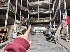 -温鉴良实用咏春拳