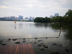 -天鹅湖体育公园