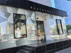 -BLACKSWAN黑天鹅(环球店)