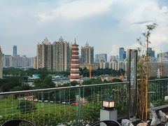 -小茶闲舍·观景商务茶馆(广州塔店)