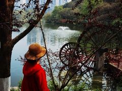 -重庆彩云湖湿地公园
