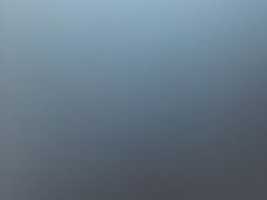 -巢爷老味(东方红店)