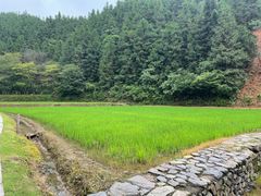 -常德桃花源景区