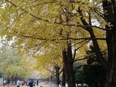 -辽宁大学(崇山校区)