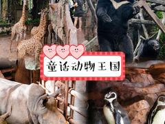 -长鹿旅游休博园