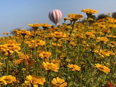 -歌斐颂巧克力小镇