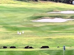 -麓湖高尔夫球俱乐部