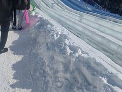 -沈阳奥体冰雪嘉年华