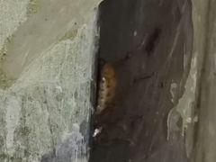 -卡拉卡拉漫温泉汗蒸