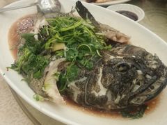 清蒸鲈鱼-海港酒家(始创中心店)