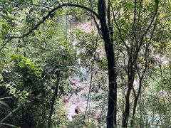 -广州白江湖森林公园