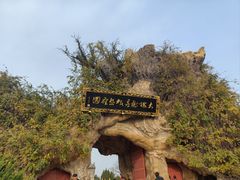 -大槐树寻根祭祖园