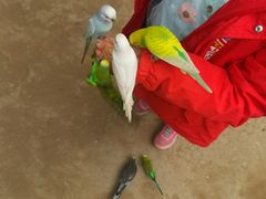 -呀路古热带植物园