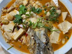 -煲来饱去冷水鱼