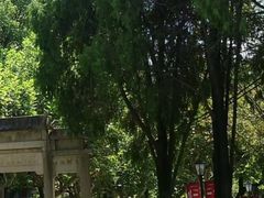 -华东政法大学(松江校区)