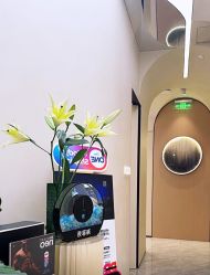 -Fundi张玉珊修身堂·indiba·BTL科技瘦身
