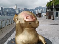 -星光大道