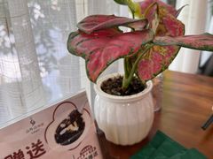 -山外山·林语花园餐厅