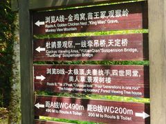 -大围山国家森林公园