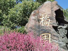 -无锡梅园公园