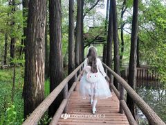-东湖落雁景区