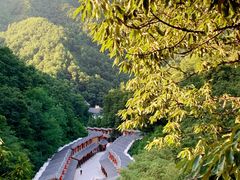 -栾川竹海野生动物园