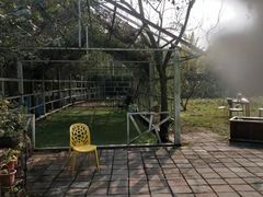 -老杨砂锅鱼庄