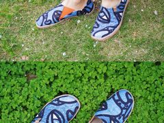 -合肥滨湖国家森林公园