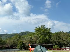 -东南花都花博园