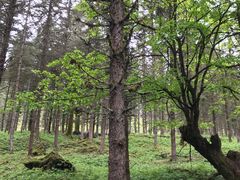 -硗碛藏寨·神木垒景区