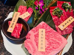 -老乾杯(深圳湾万象城店)