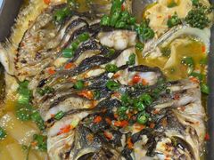 -鱼酷活鱼烤鱼(沈阳大悦城店)