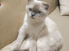 -藏猫猫咖啡主题馆(中央大道店)